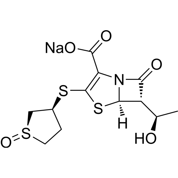 Sulopenem sodium (CP-70429 sodium) 112294-81-2